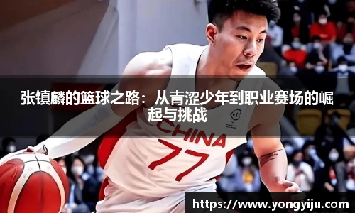 张镇麟的篮球之路：从青涩少年到职业赛场的崛起与挑战